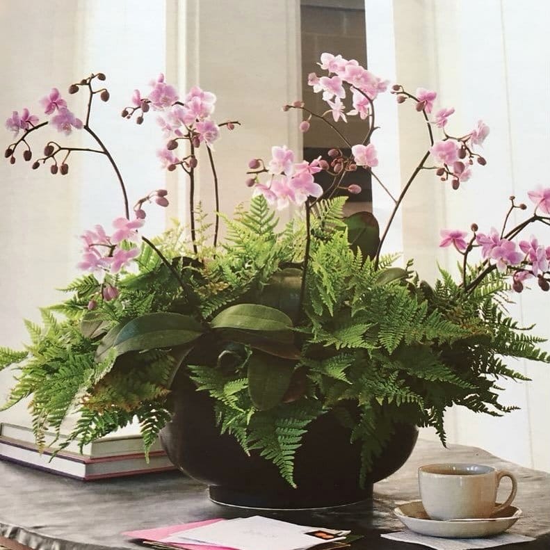 Rustic twig and lush fern tabletop centerpiece