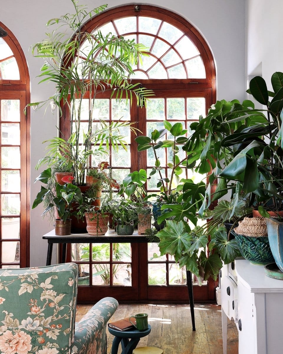 Vintage lace plant pot cover with greenery