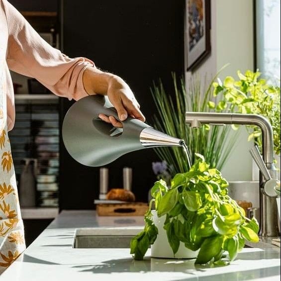 sleek narrow-spout watering can