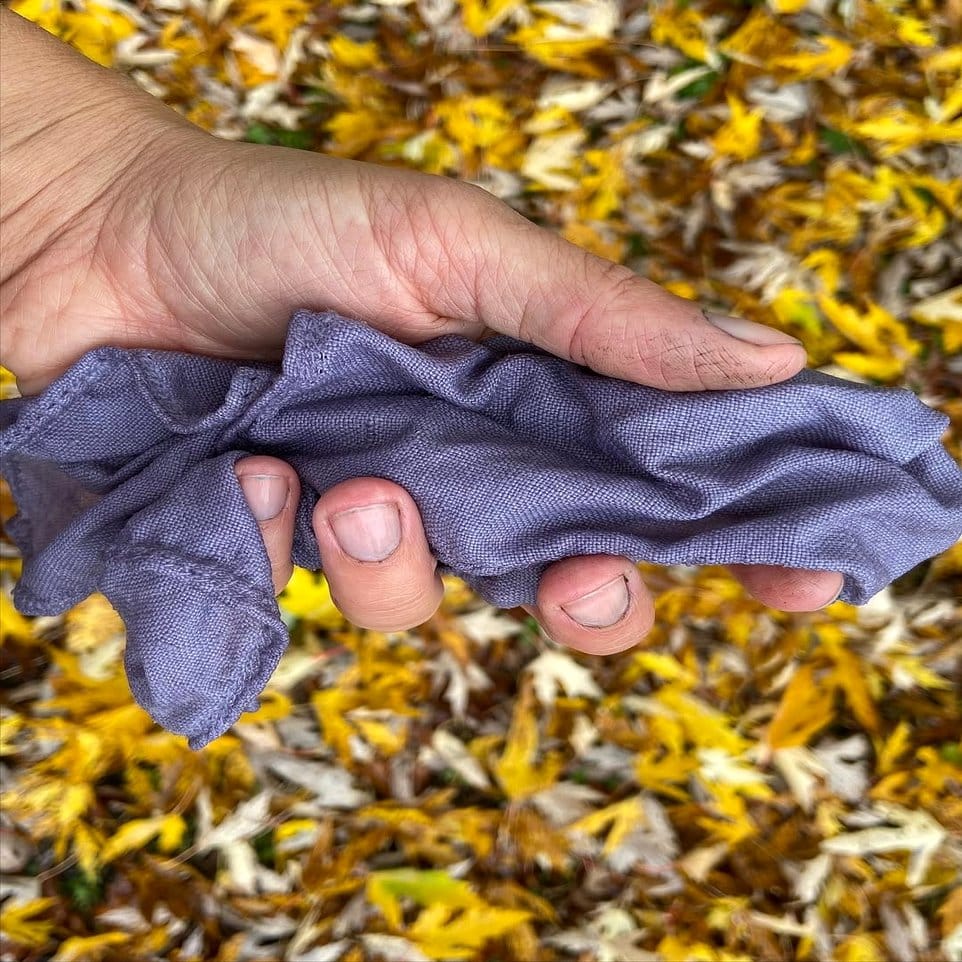 Healthy plant roots with alpaca wool wraps
