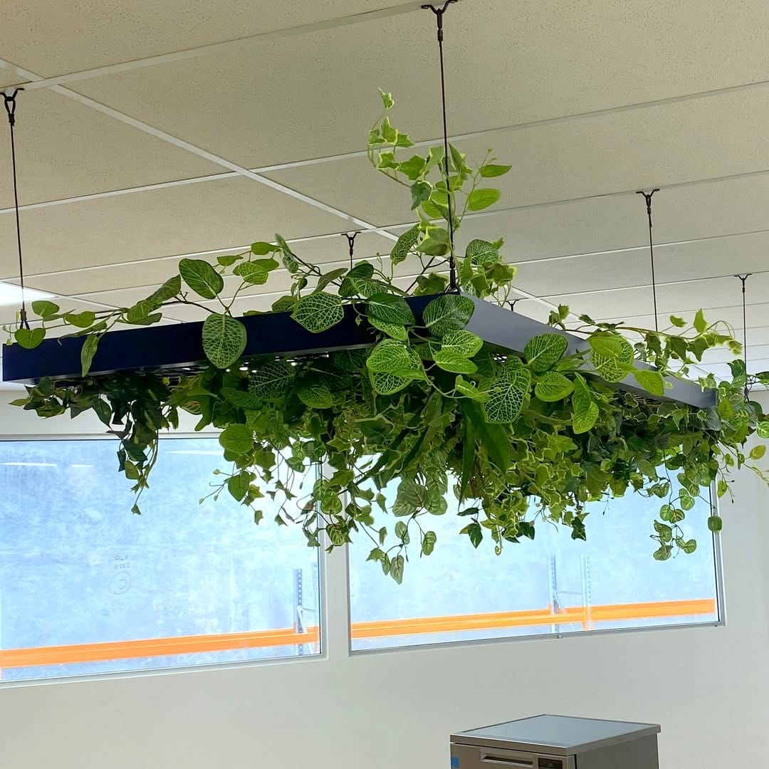 Suspended twig and ivy ceiling installation