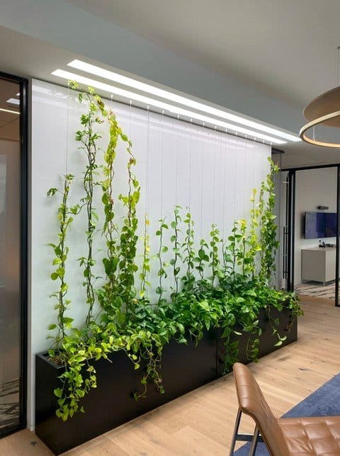 room divider with vertical plants