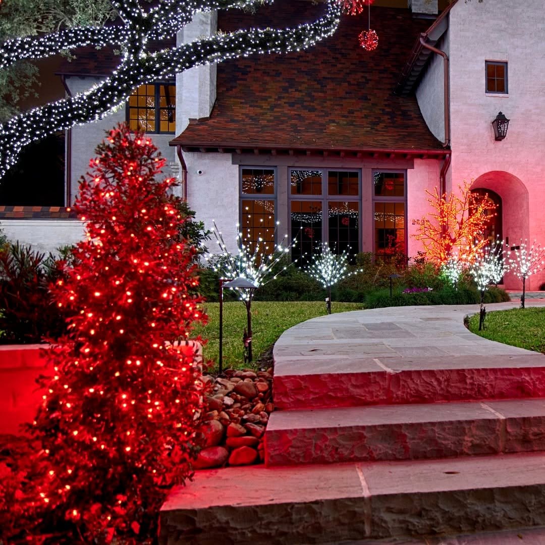 fairy lights in garden shrubs