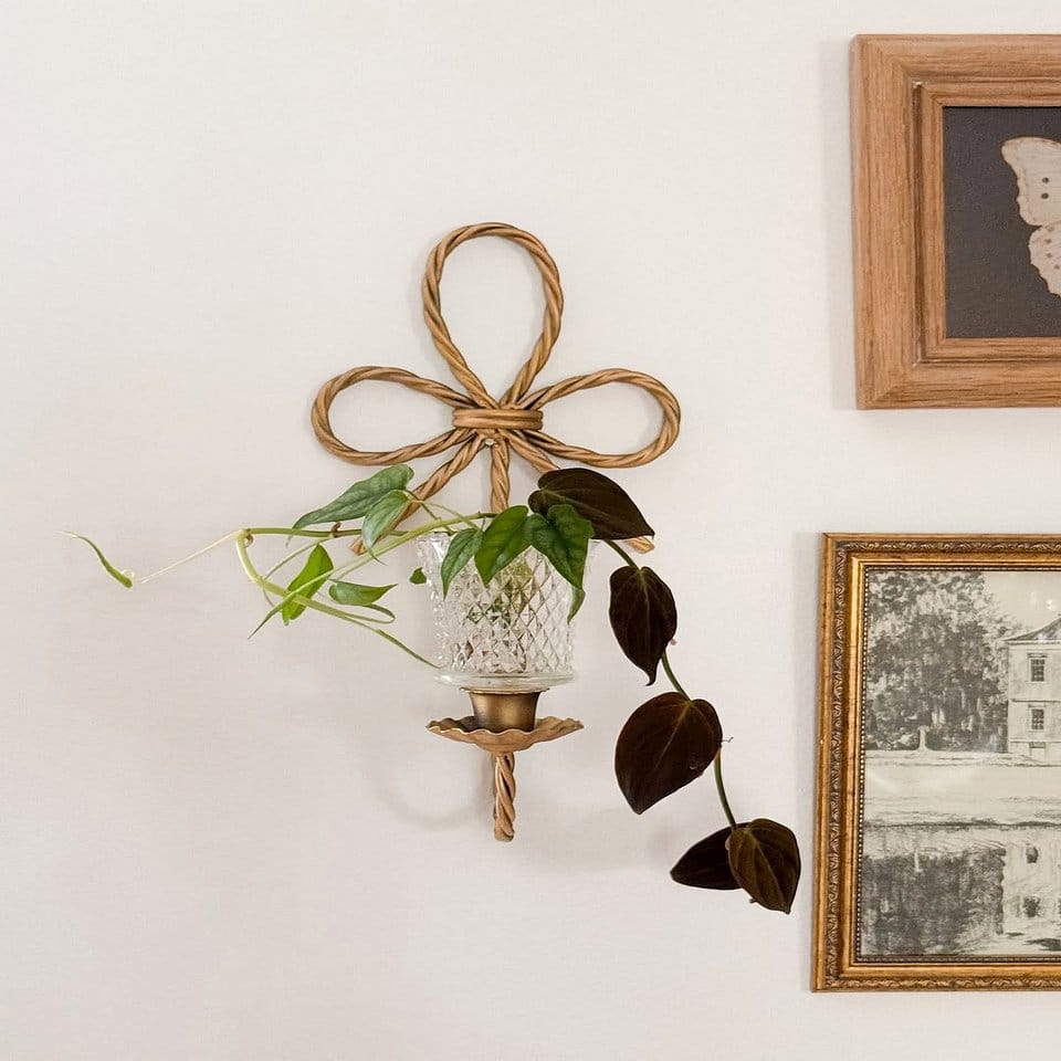 Wall-mounted plant sconces with leather and studs