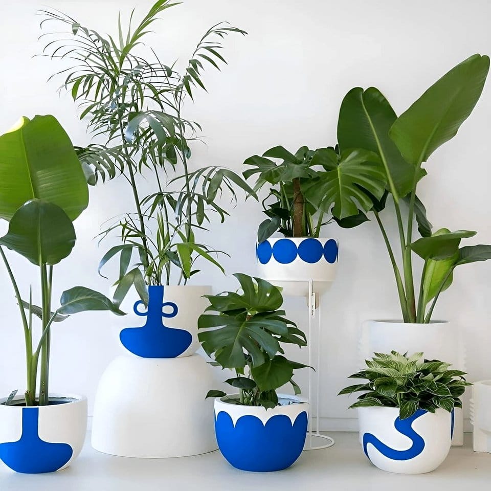 Black pixel Bomberman bomb plant pots