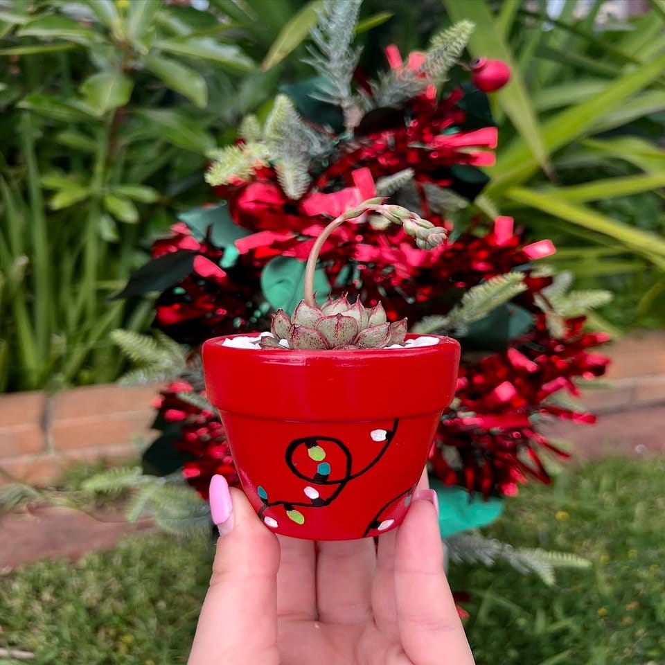 Holiday-themed painted plant pot with snowflakes