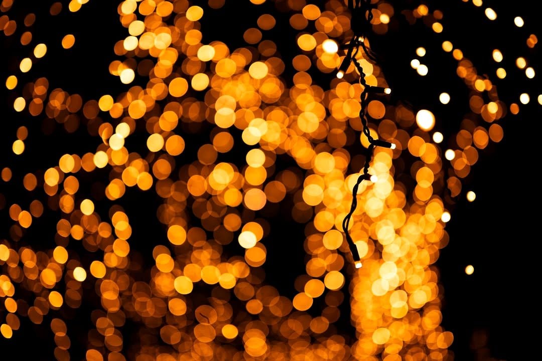 fairy lights draped over bench