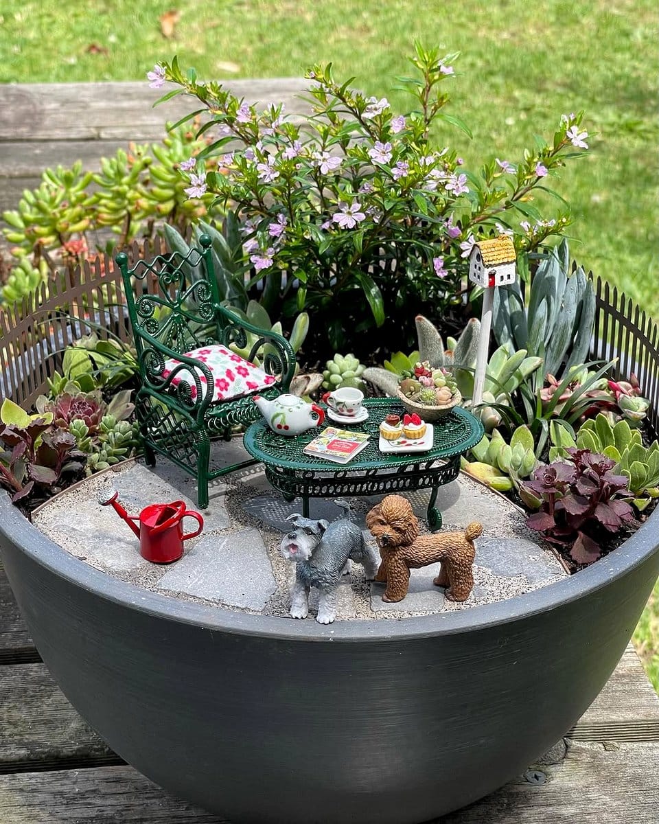festive-themed teacup with succulents