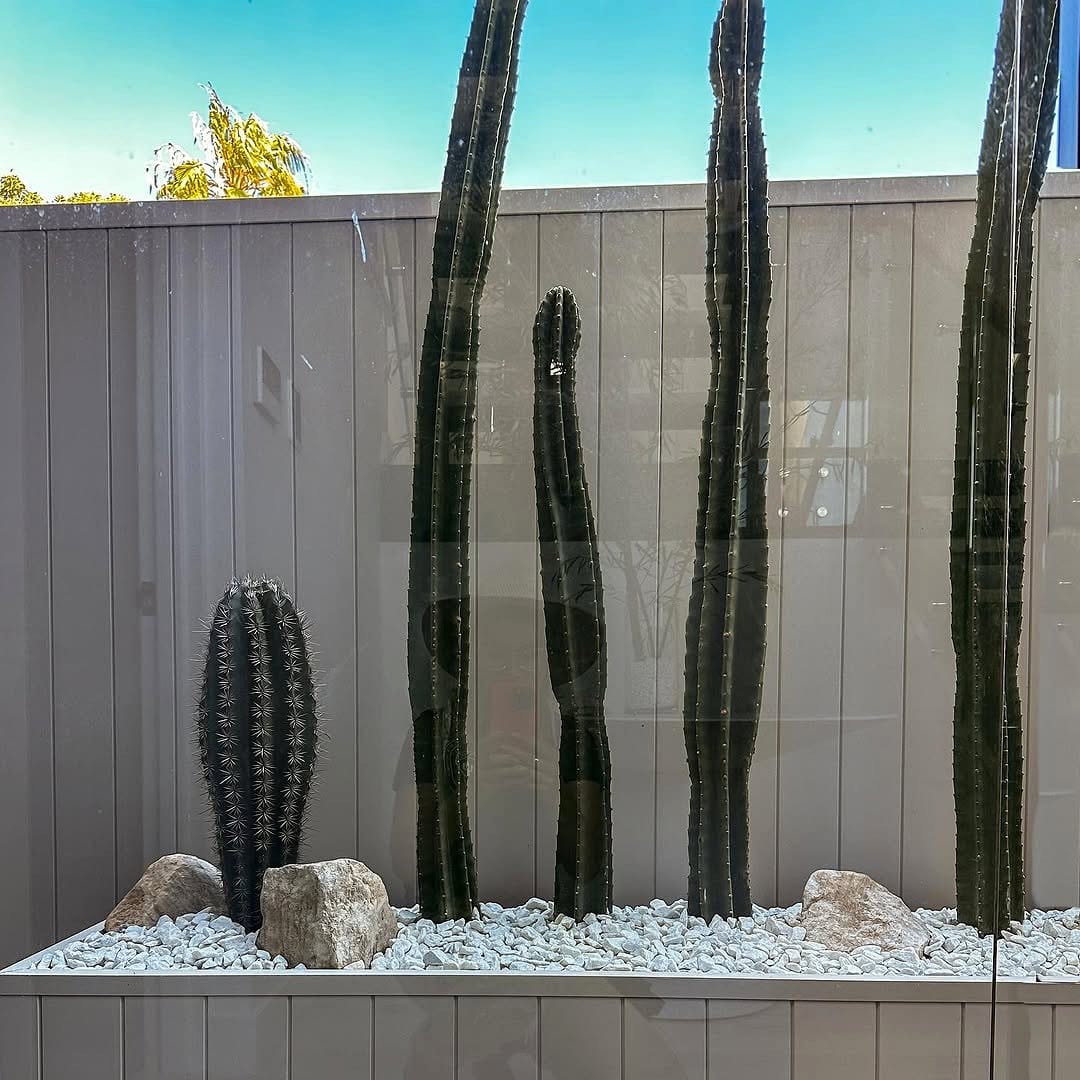 Cactus and rope window box display