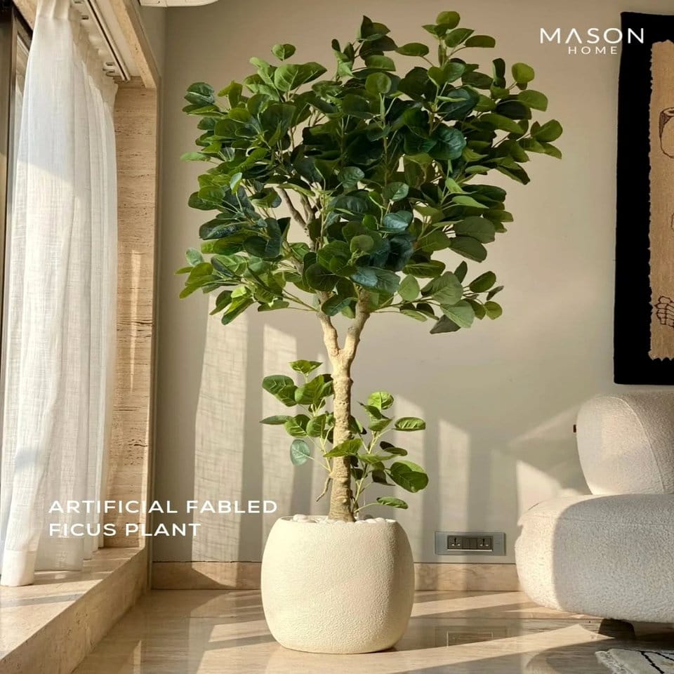 Large tropical leaves in a clear vase