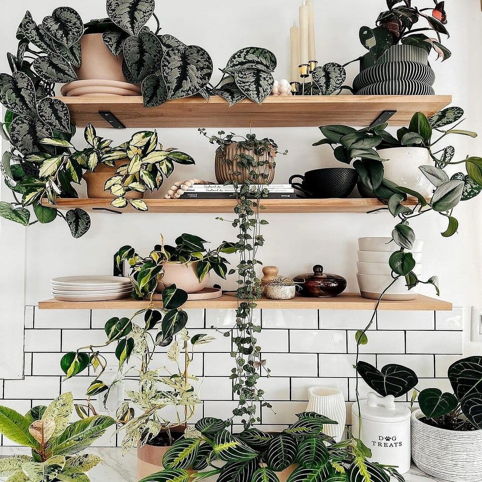 Artistic tapestry bookshelf plant arrangement