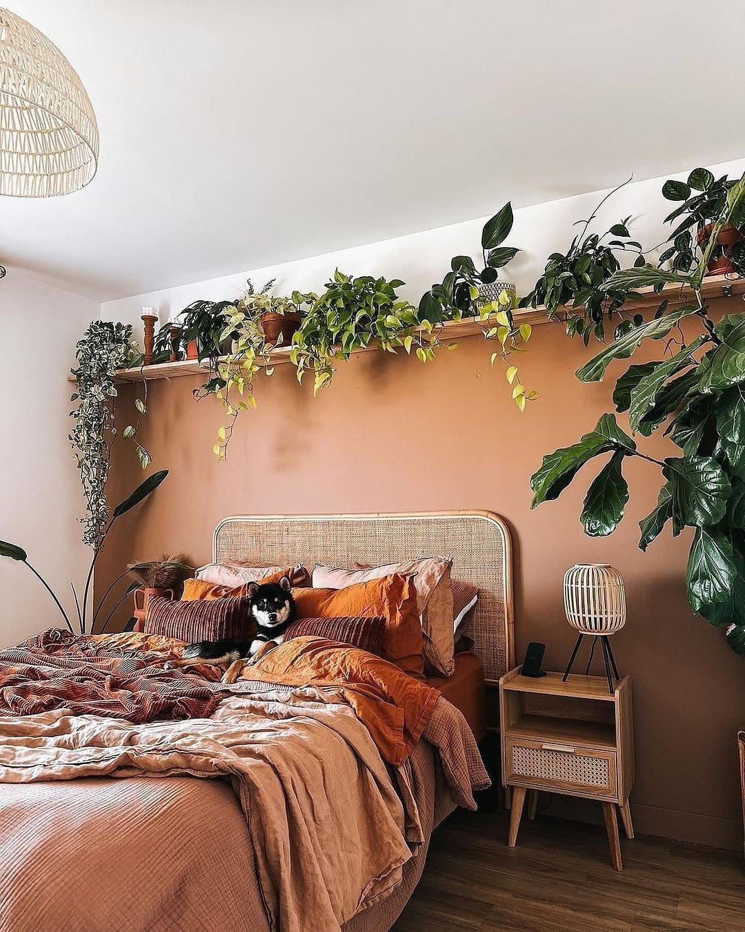 Vibrant tropical plants in metal grid