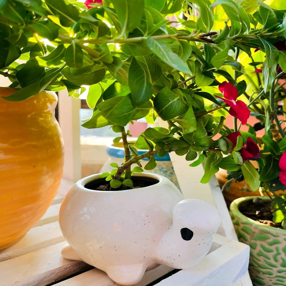 Festive Indian block print plant pot wrap