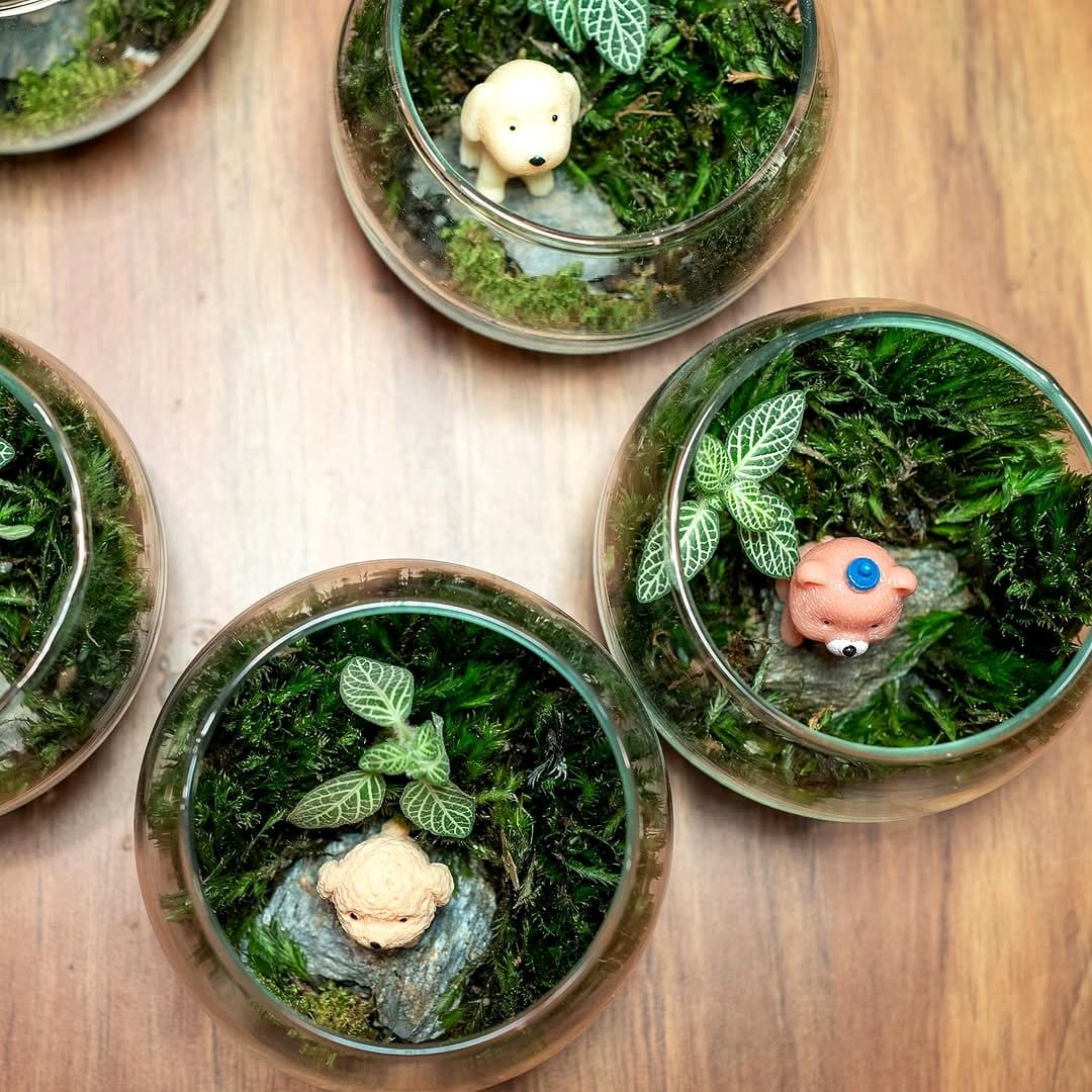 Glass terrarium with underwater fairy lights