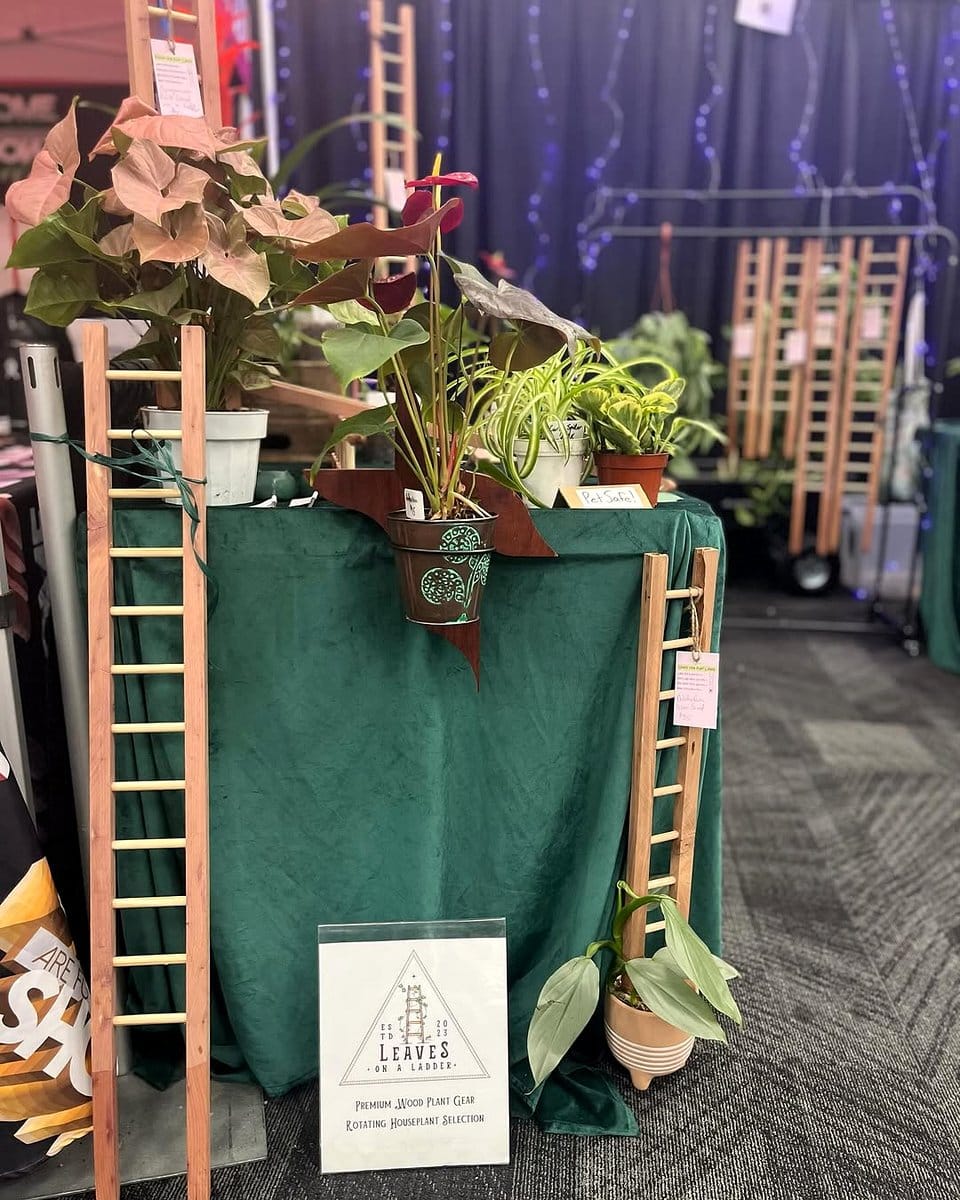 wooden ladder with potted plants