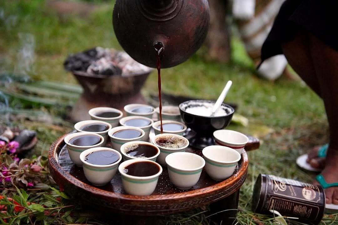 Ethiopian coffee plants with seasonal decorations on a festive table