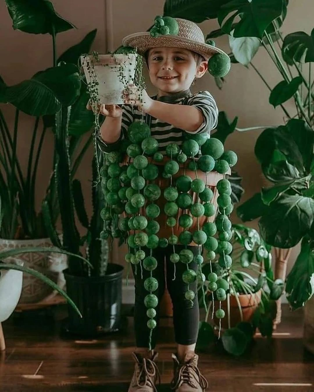 Creative string of pearls in wire holder