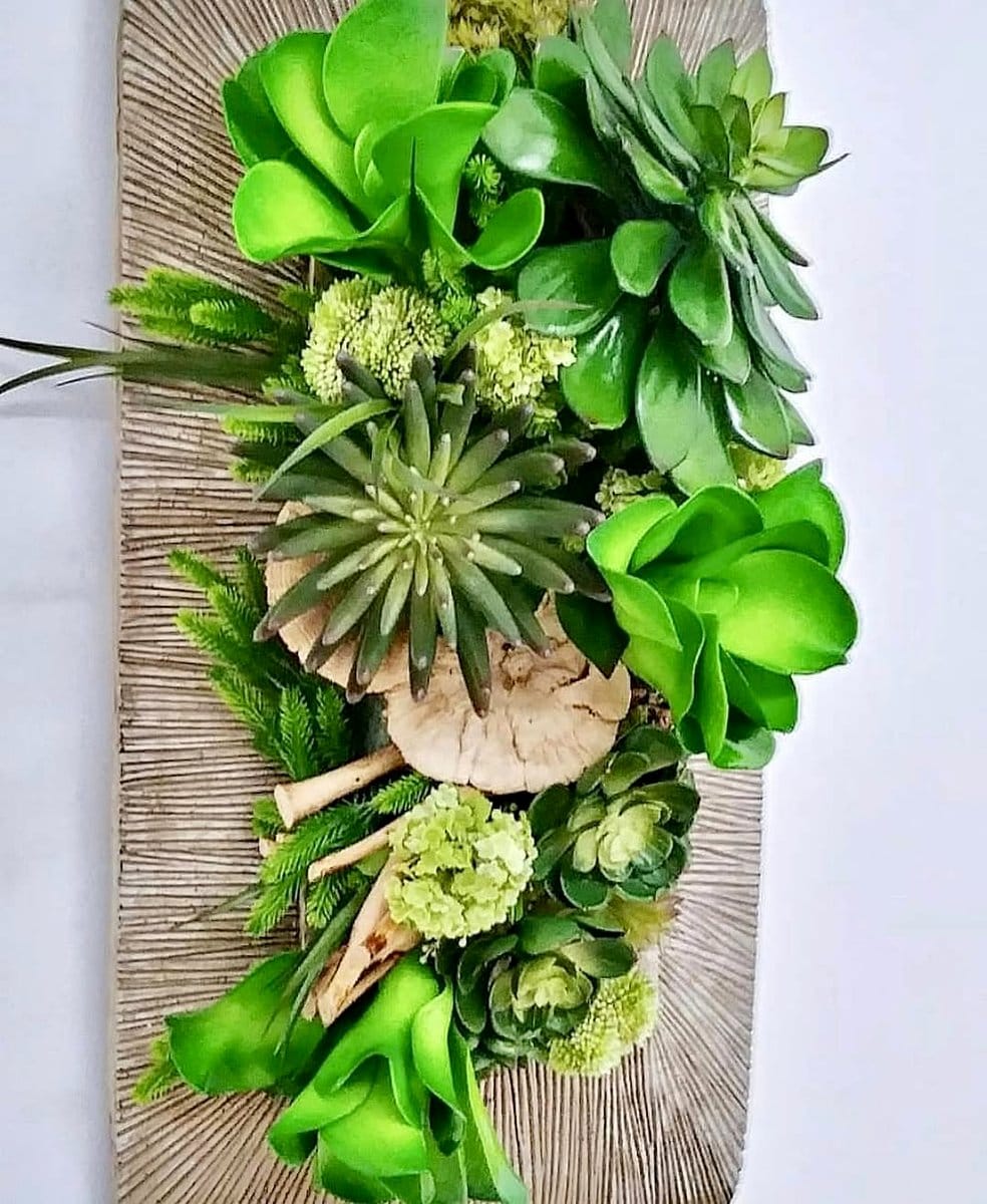 framed succulent arrangement on wall