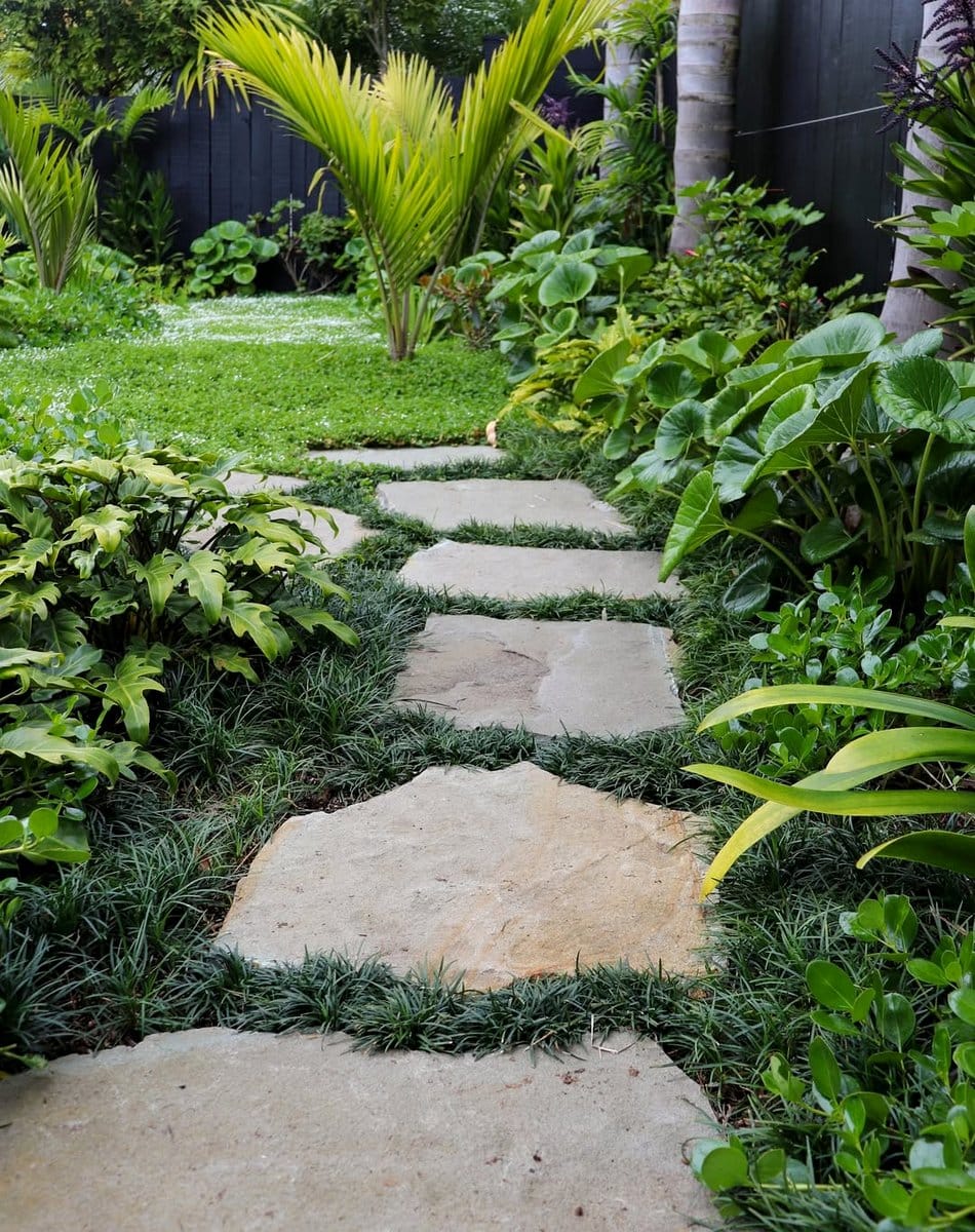 mondo grass along garden path