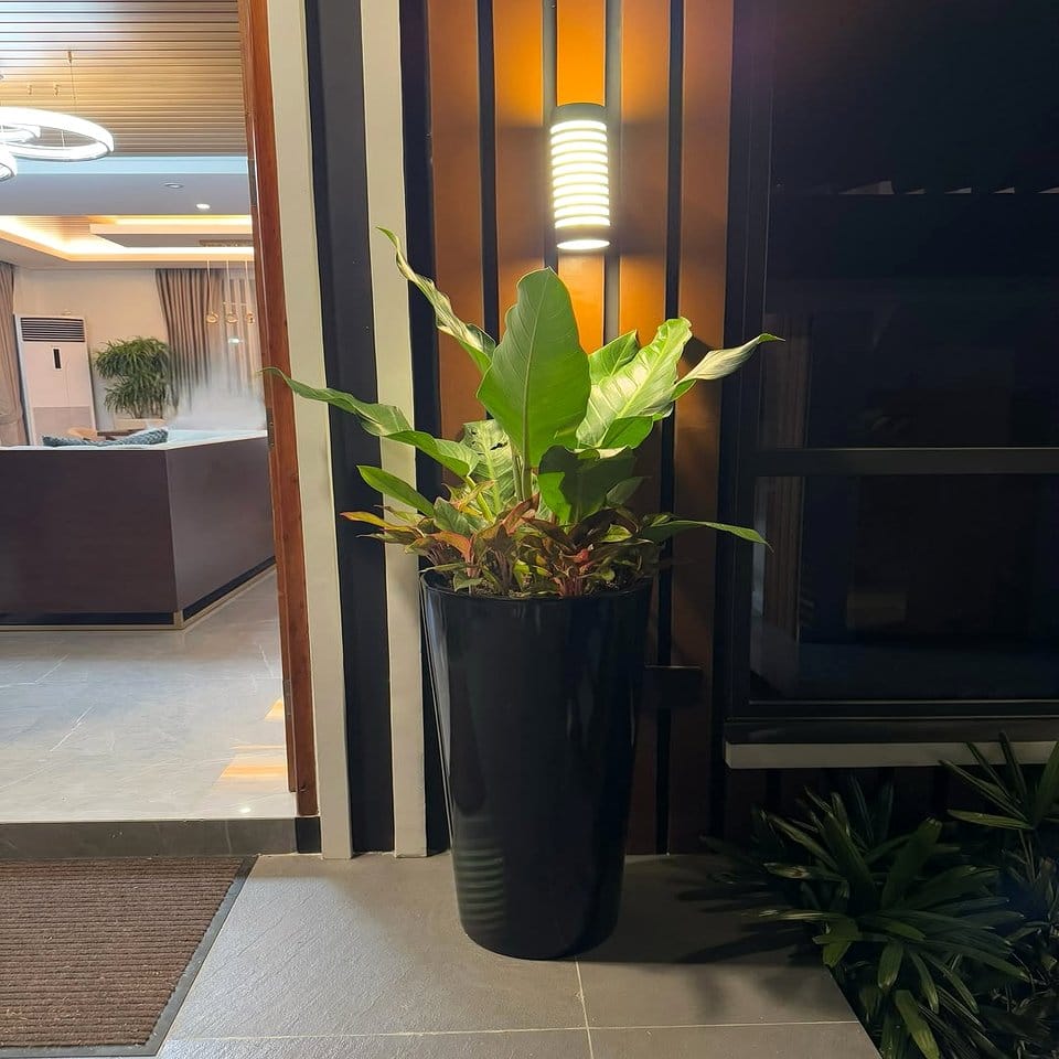 Nautical rope-wrapped plant pot with tropical greenery