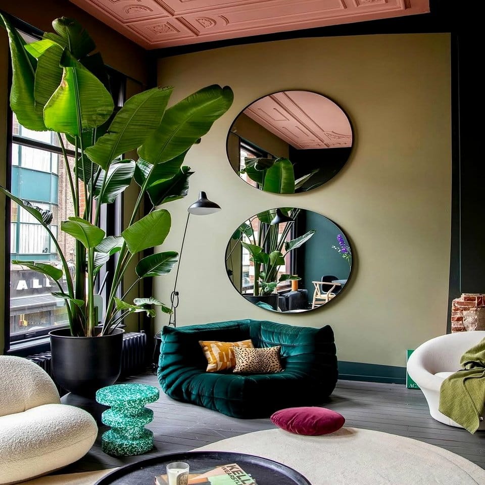 Bird of Paradise plant against velvet