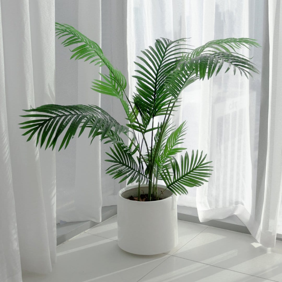 neem oil bottle next to plant