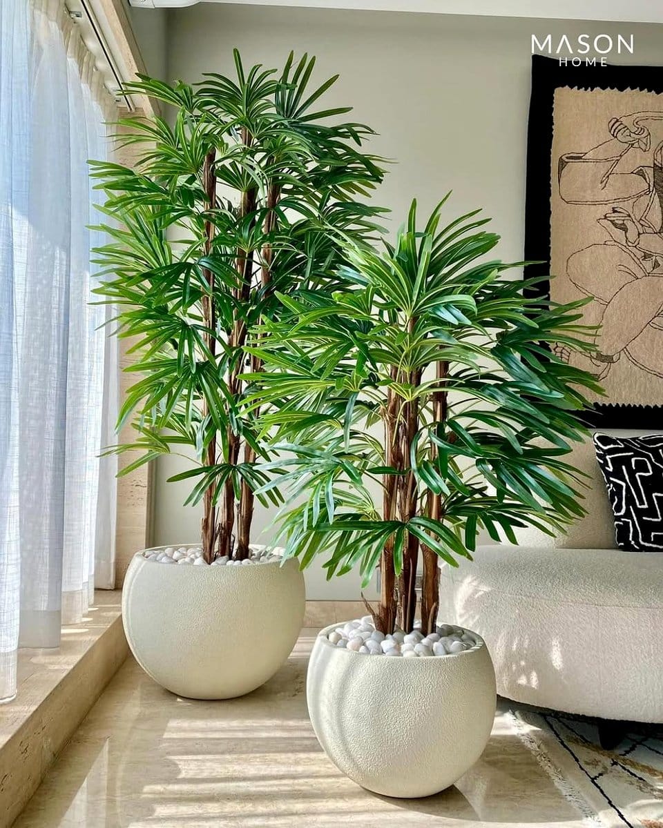 Small apartment with tall plants