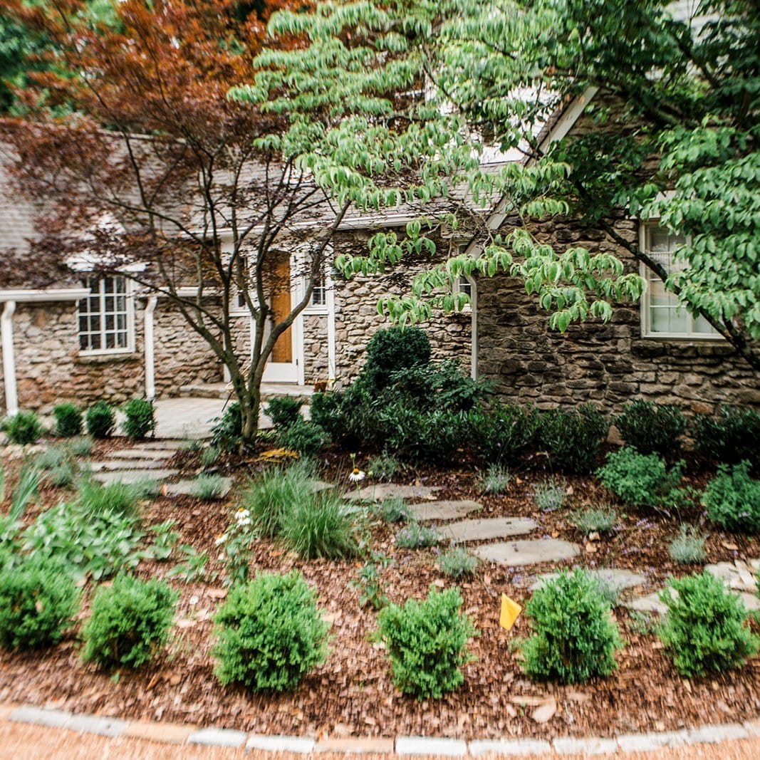 Amethyst pebbles used as plant mulch
