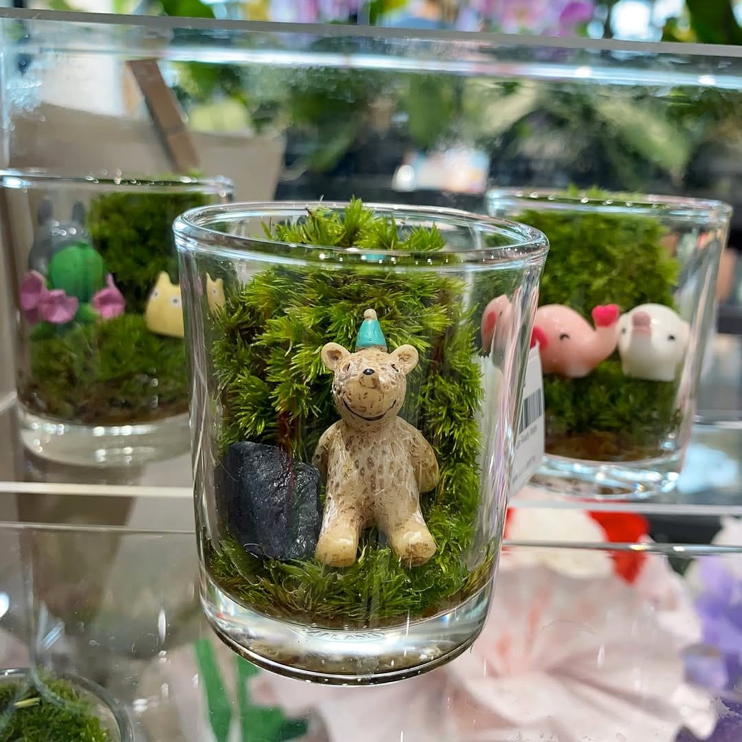 Seashell-adorned glass terrarium
