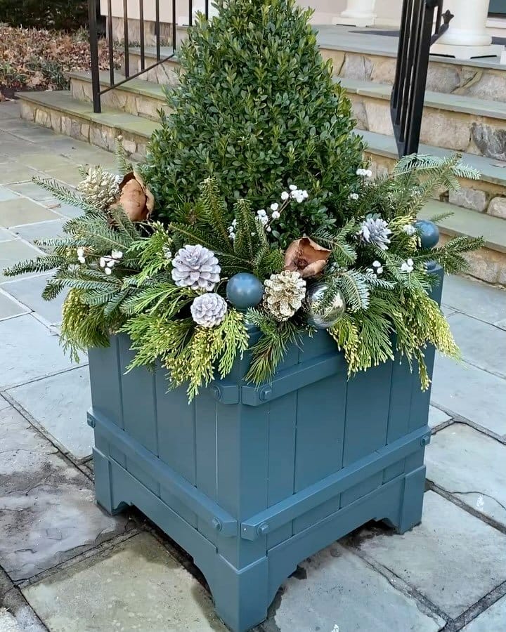 wooden planter box with ornamental grasses
