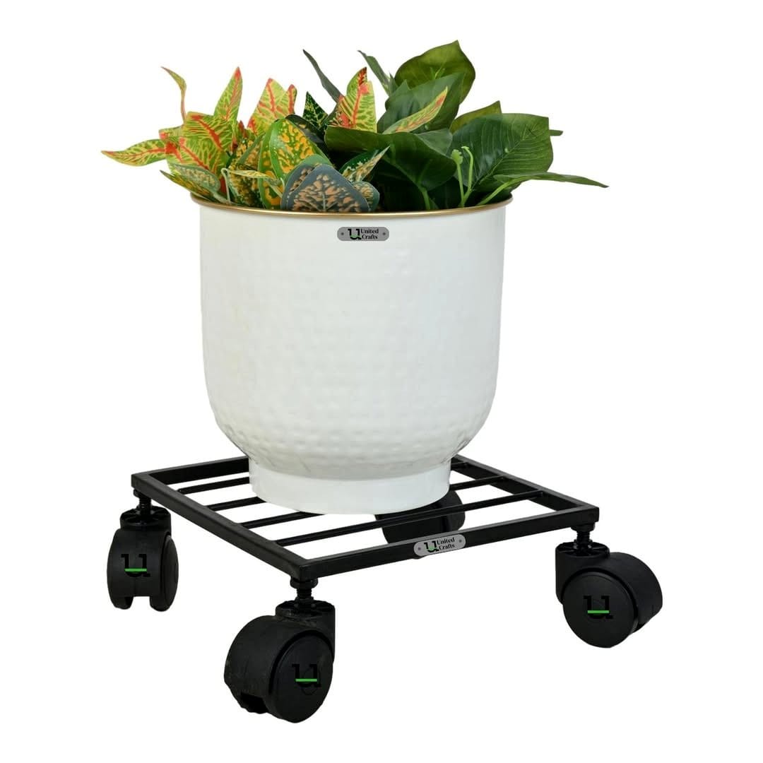 Tall rune plant stands in entryway