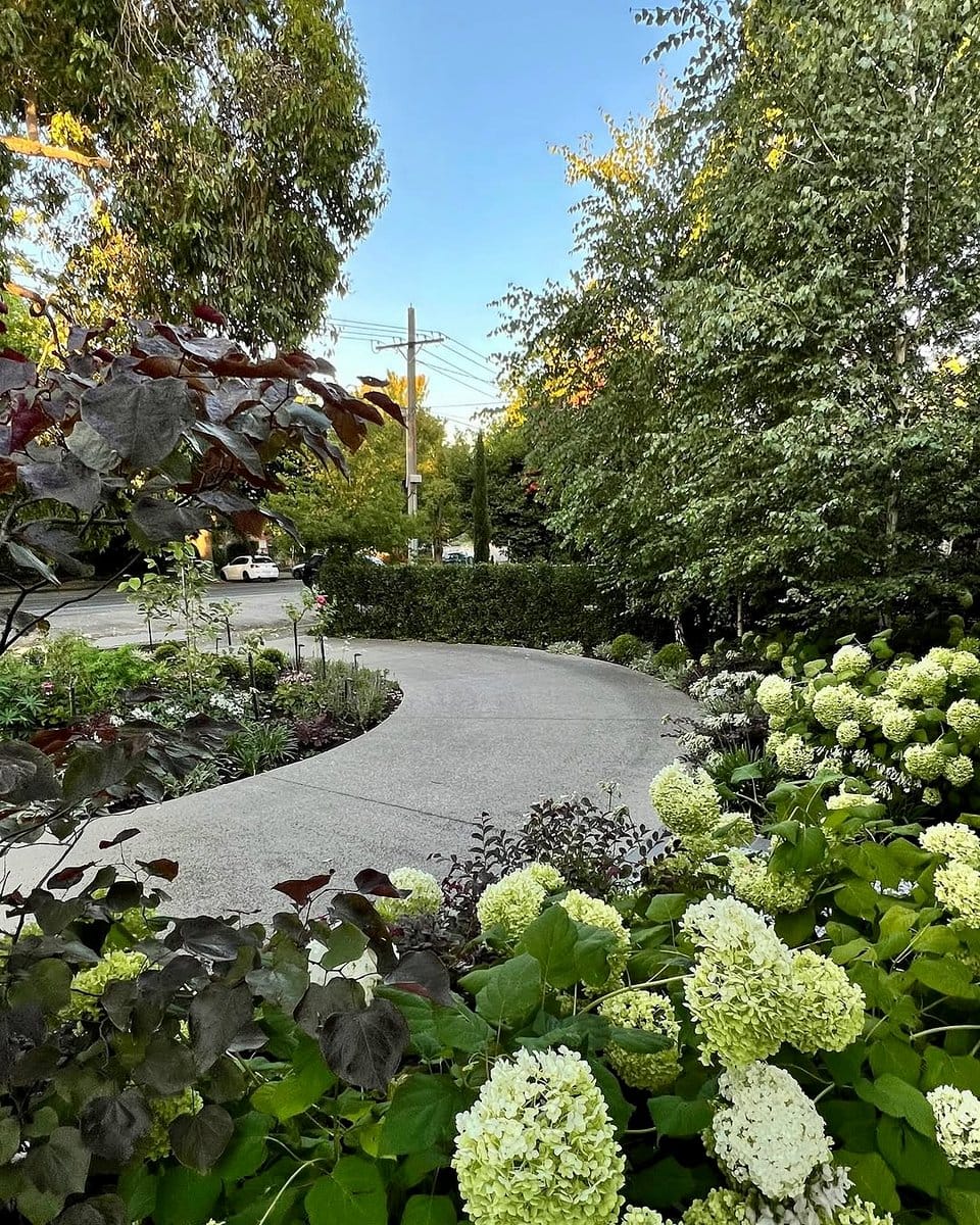 Garden pathway with plant uplights