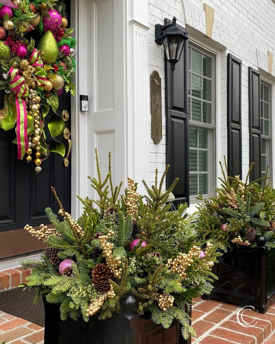 english ivy in a decorative pot by the entrance