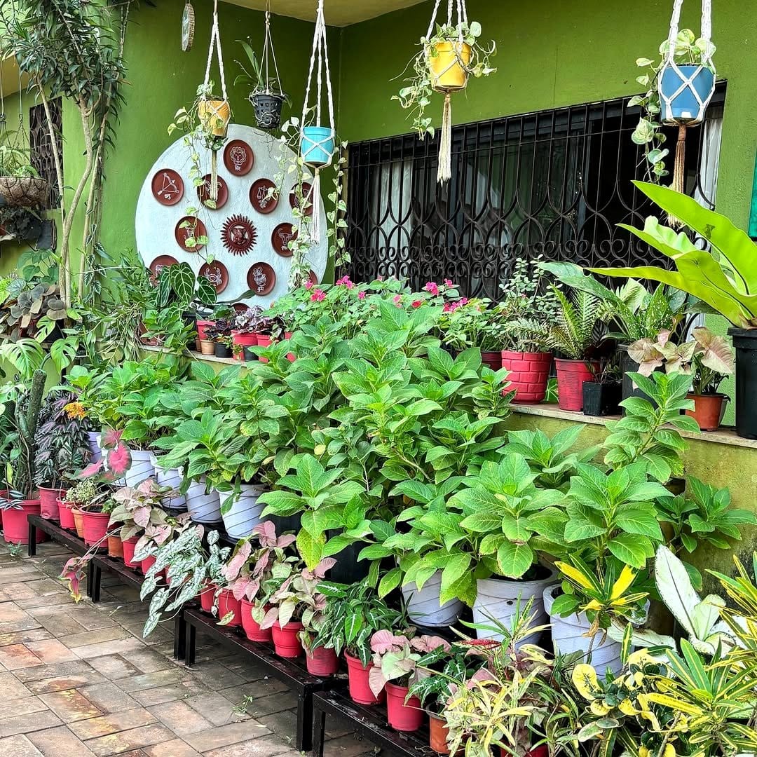 Hanging herb garden with compass rose design