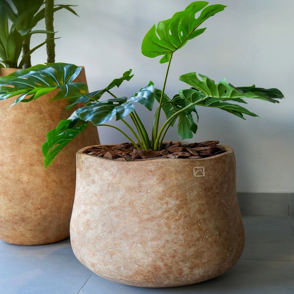 Geometric patterned floor tiles with plant pots