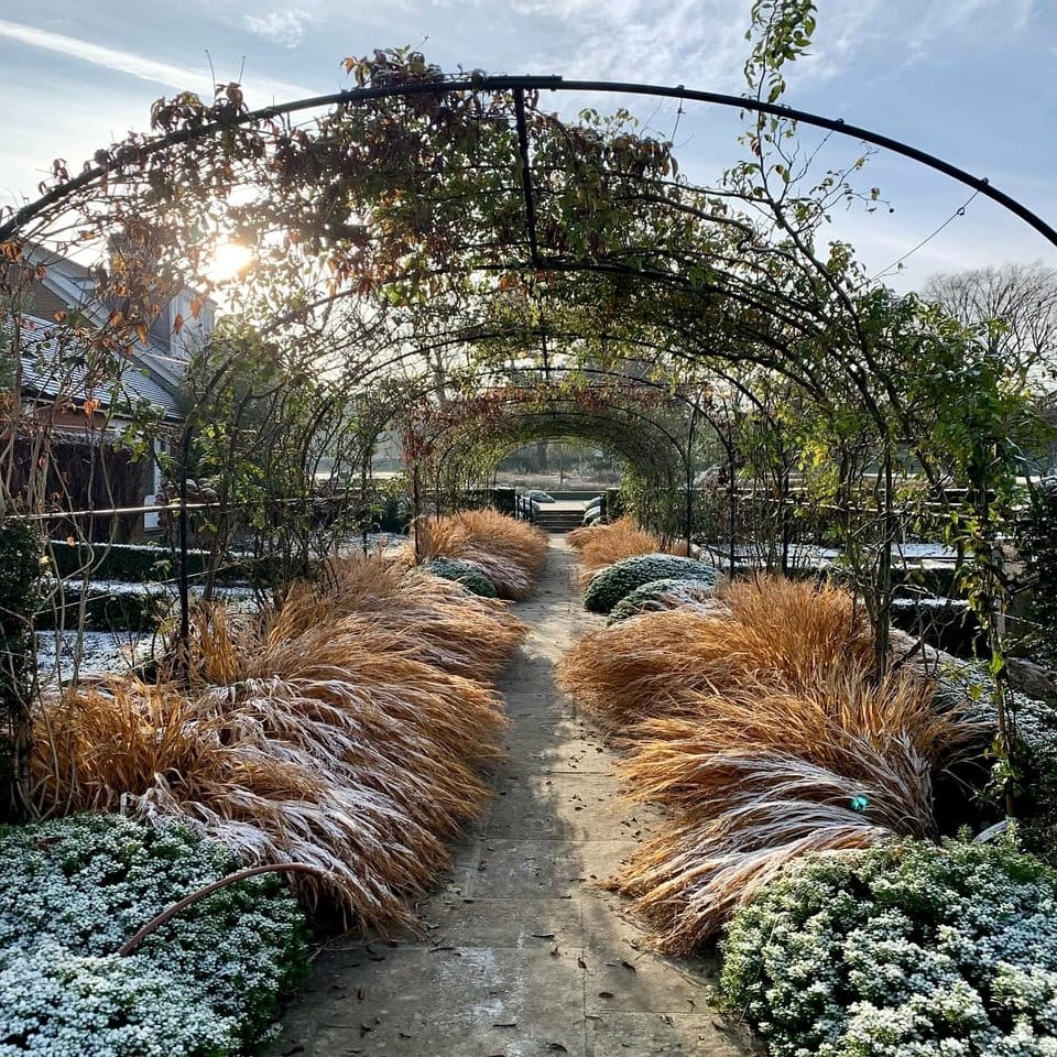 Outdoor garden with alpaca wool-wrapped plants