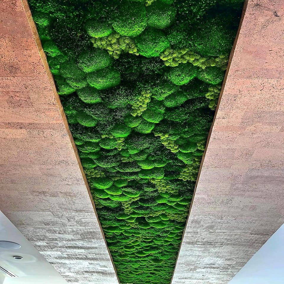 Futuristic glowing moss ceiling installation