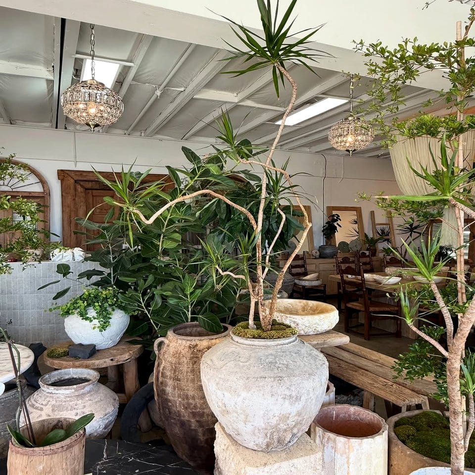 Weathered stones around plant display