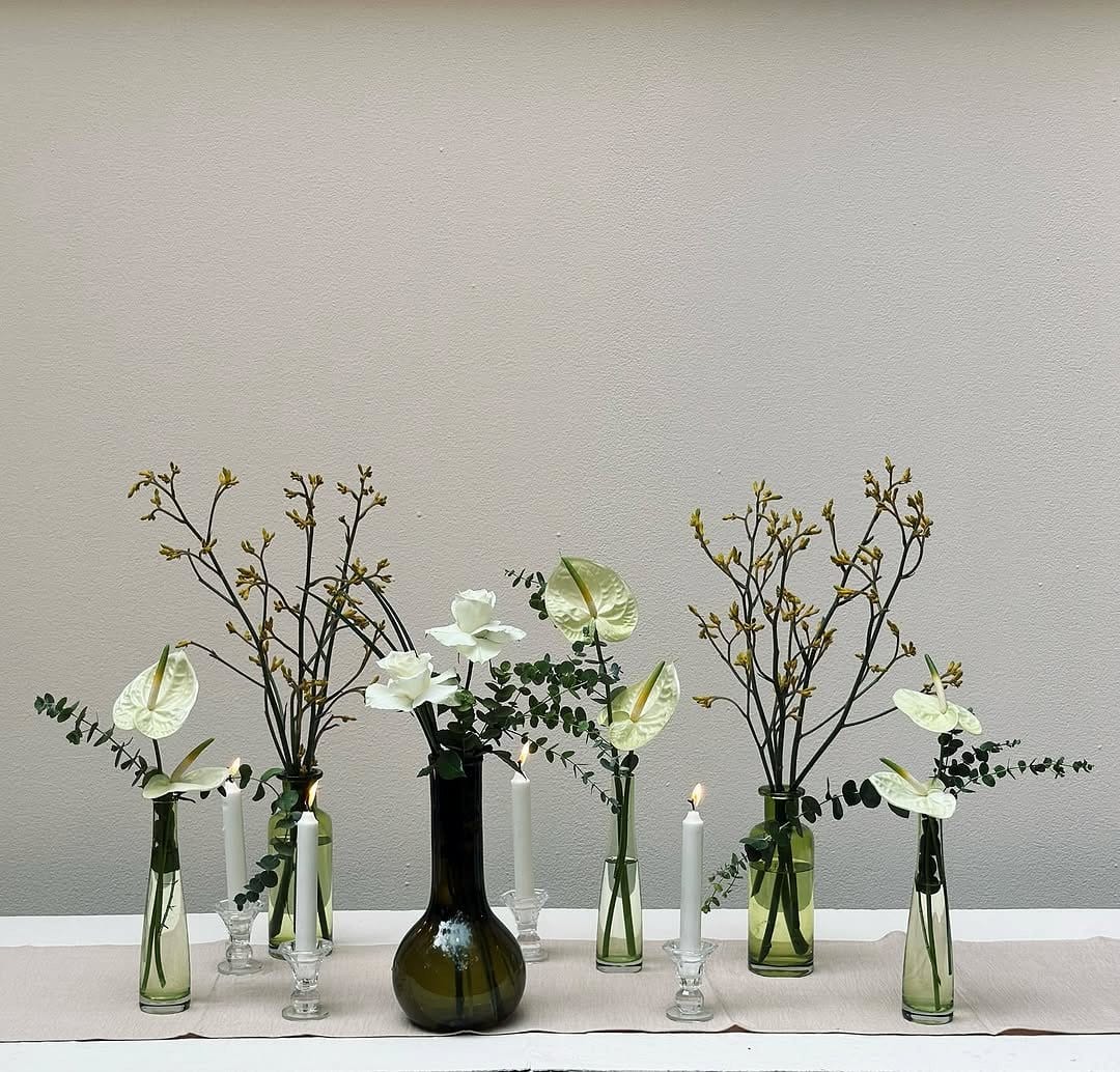 minimalist plant arrangement
