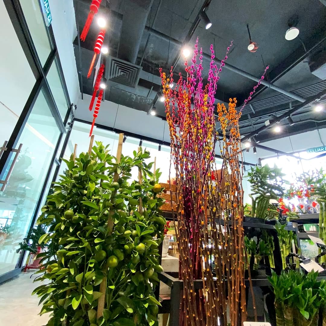 Autumn-themed paper crane plant display