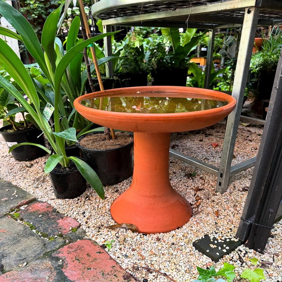 Bird bath with lava rocks