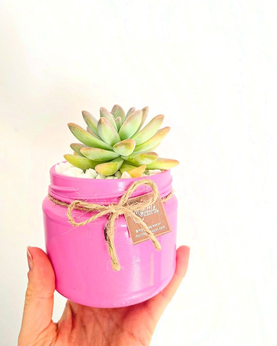 succulent-filled glass jar