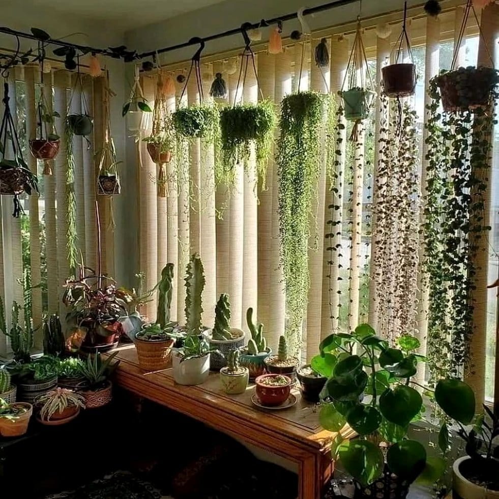 Window curtain with leather and stud accents for plants