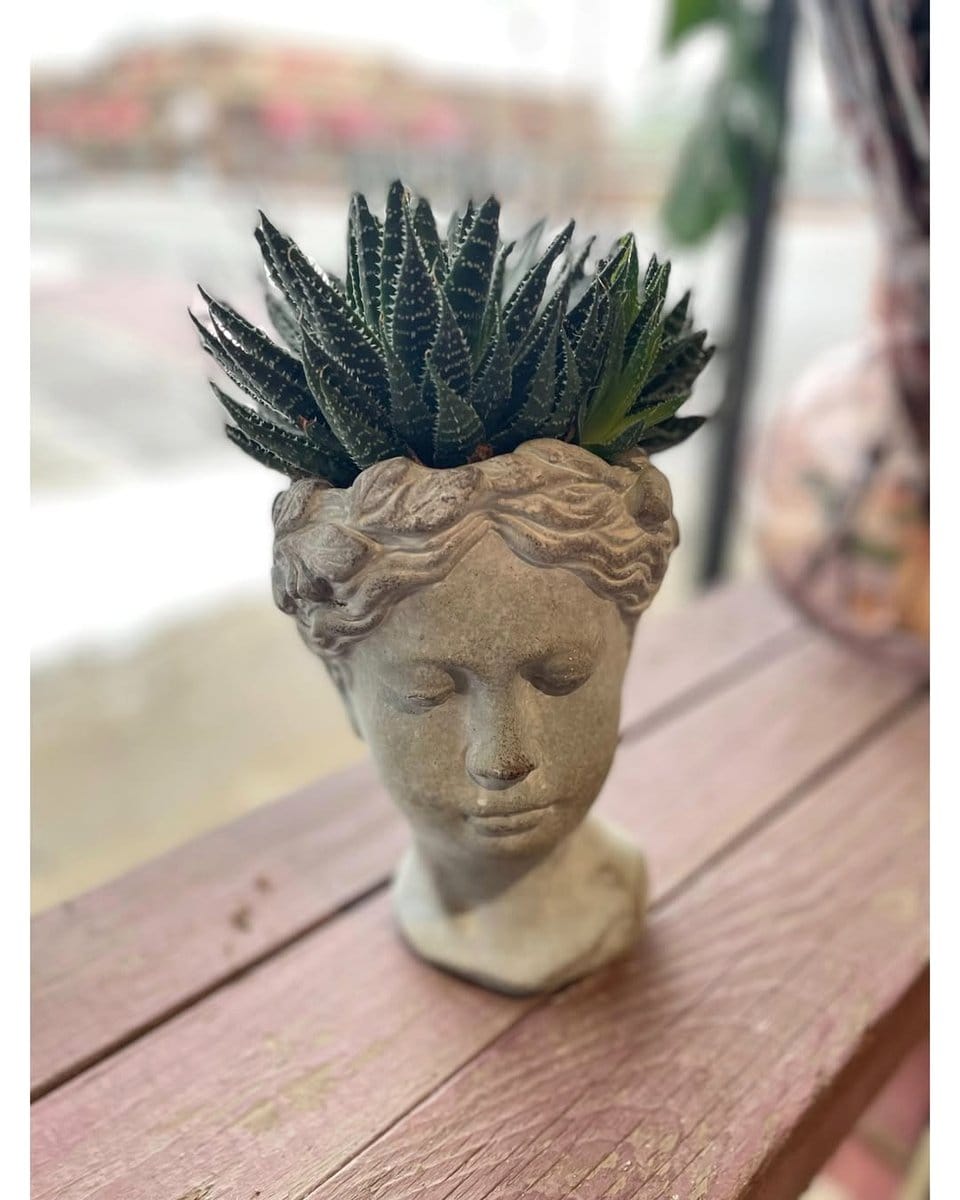 ceramic face planter with fern hair