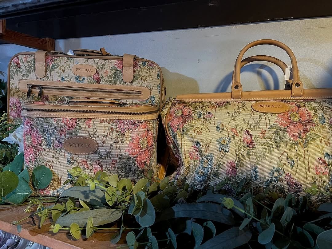 Vintage suitcase with Flamenco Ruffle Plant