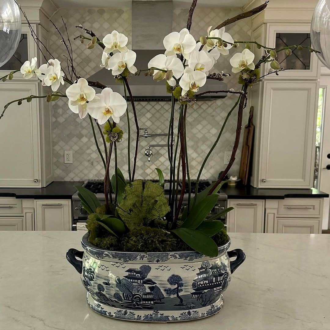 black and white ombre planters with orchids