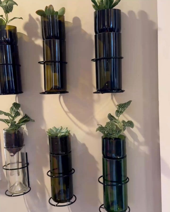 vertical garden with wine bottle planters