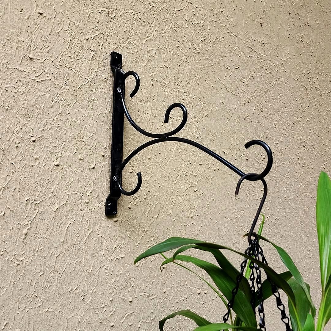 decorative hooks with hanging ferns