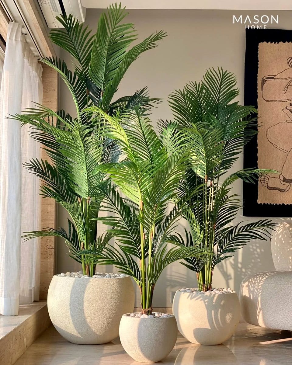 lush green ferns in bathroom corner