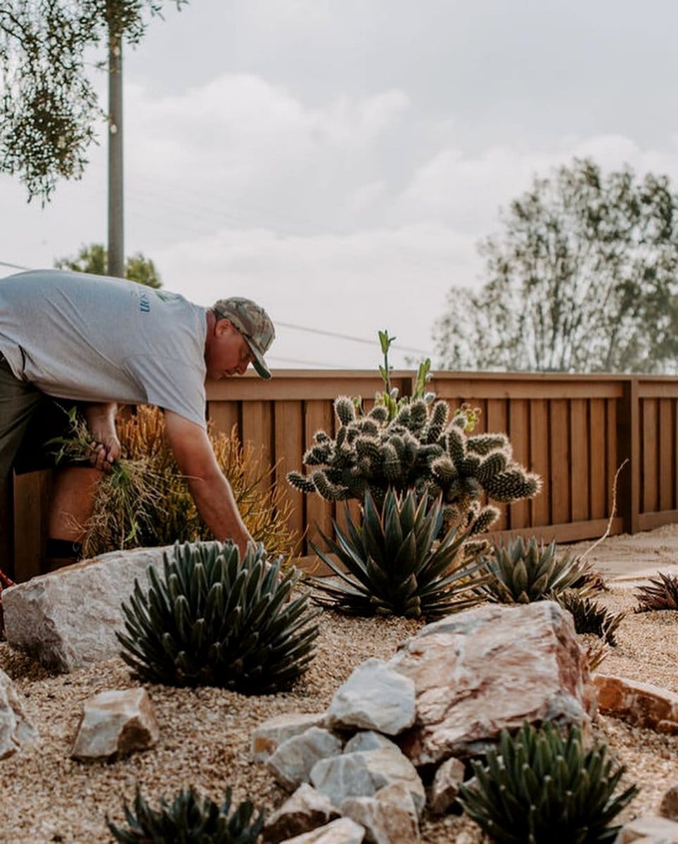 decorative rocks around plant base